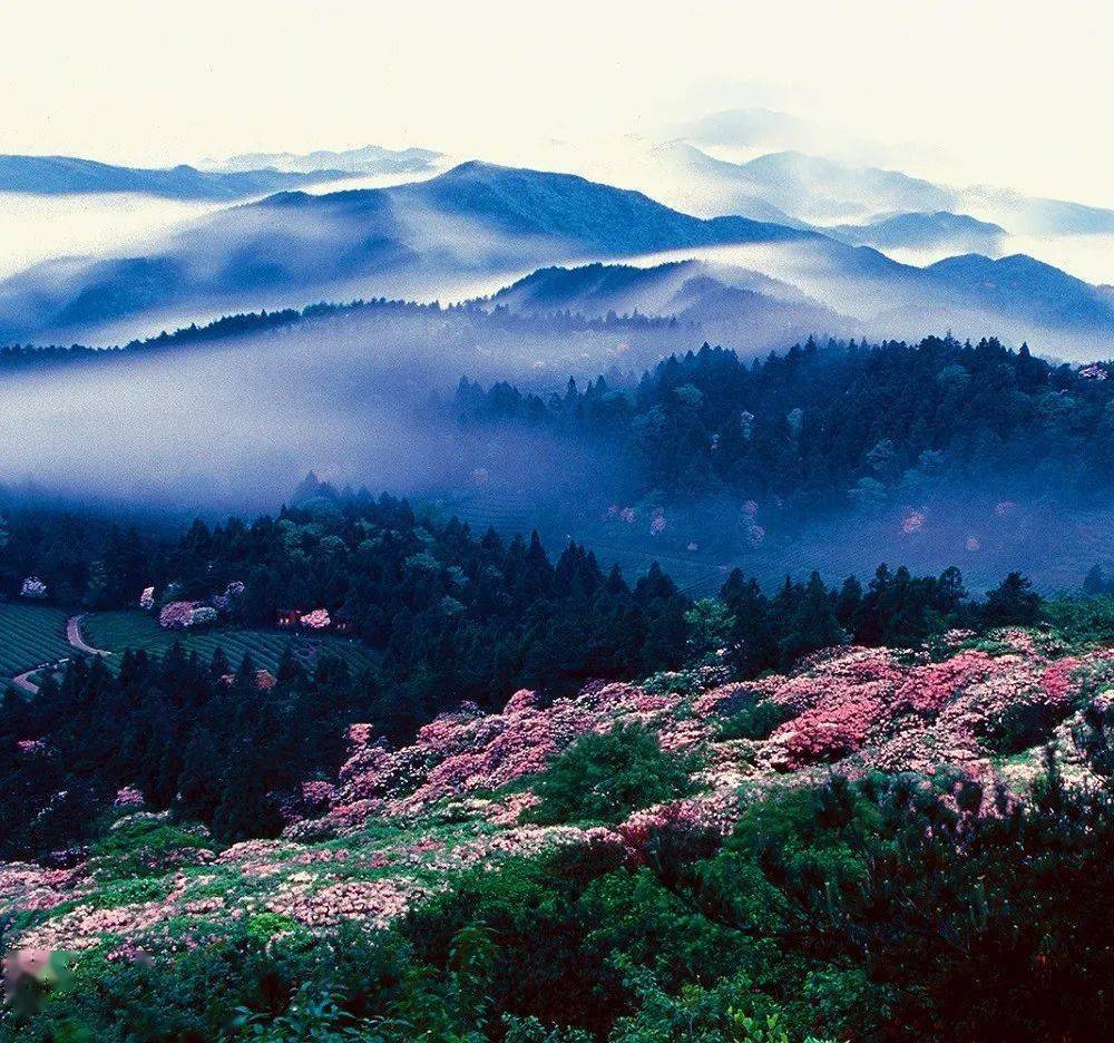 臺(tái)州日?qǐng)?bào)丨文化圣山天臺(tái)山