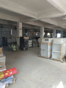 公明南光高速出口精品小獨院廠房招租及商務信息咨詢服務