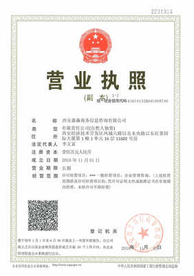 西安嘉森商務(wù) 專業(yè)商務(wù)信息咨詢服務(wù)的全方位解析